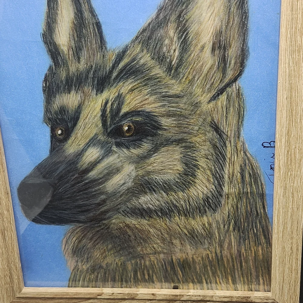 Hand Crafted Framed German Shepherd Colored Pencil Drawing